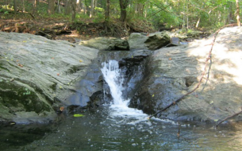A small waterfall flows over rocks into a shallow pool, surrounded by trees and greenery in a forested area.