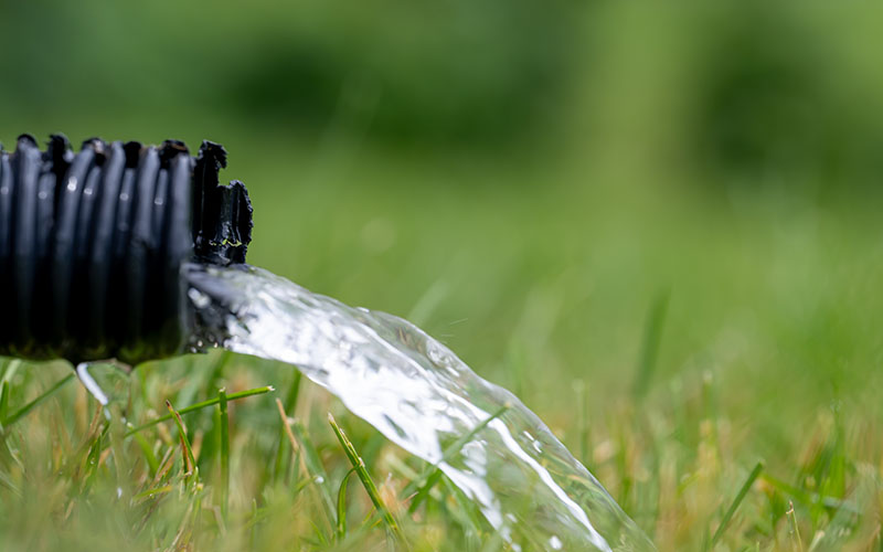 Close-up of water flowing out from a black plastic hose onto green grass, with a blurred grassy background.