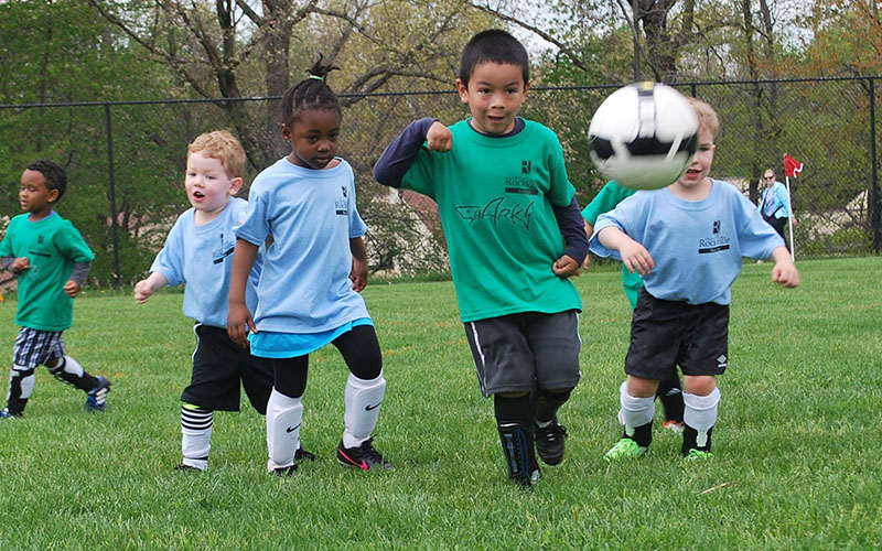 A group of young children play soccer on a grassy field, with one child in a green shirt chasing the ball ahead of others in blue shirts.