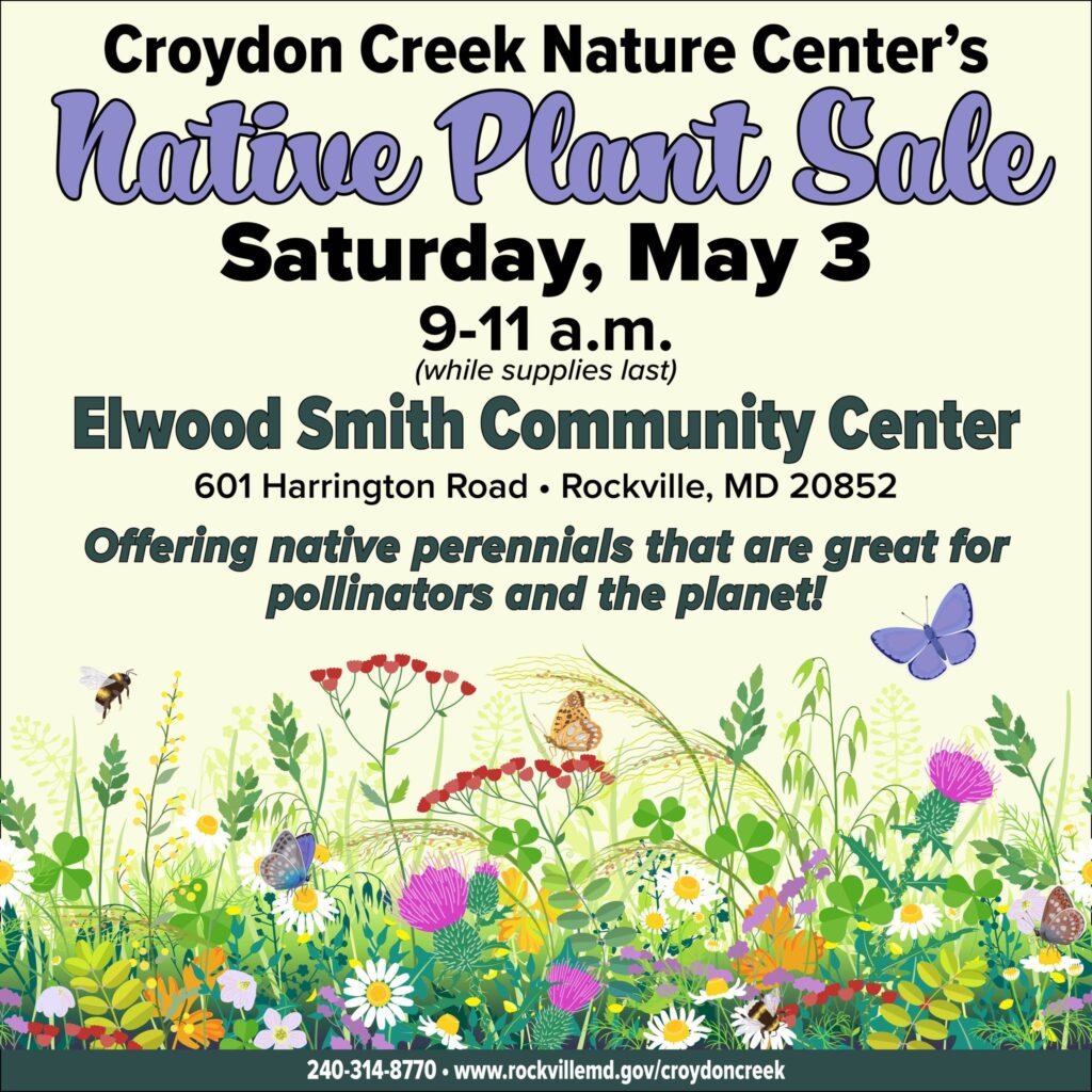Flyer for Croydon Creek Nature Center’s Native Plant Sale on Saturday, May 3, 9-11 a.m. at Elwood Smith Community Center, featuring native perennials for pollinators.