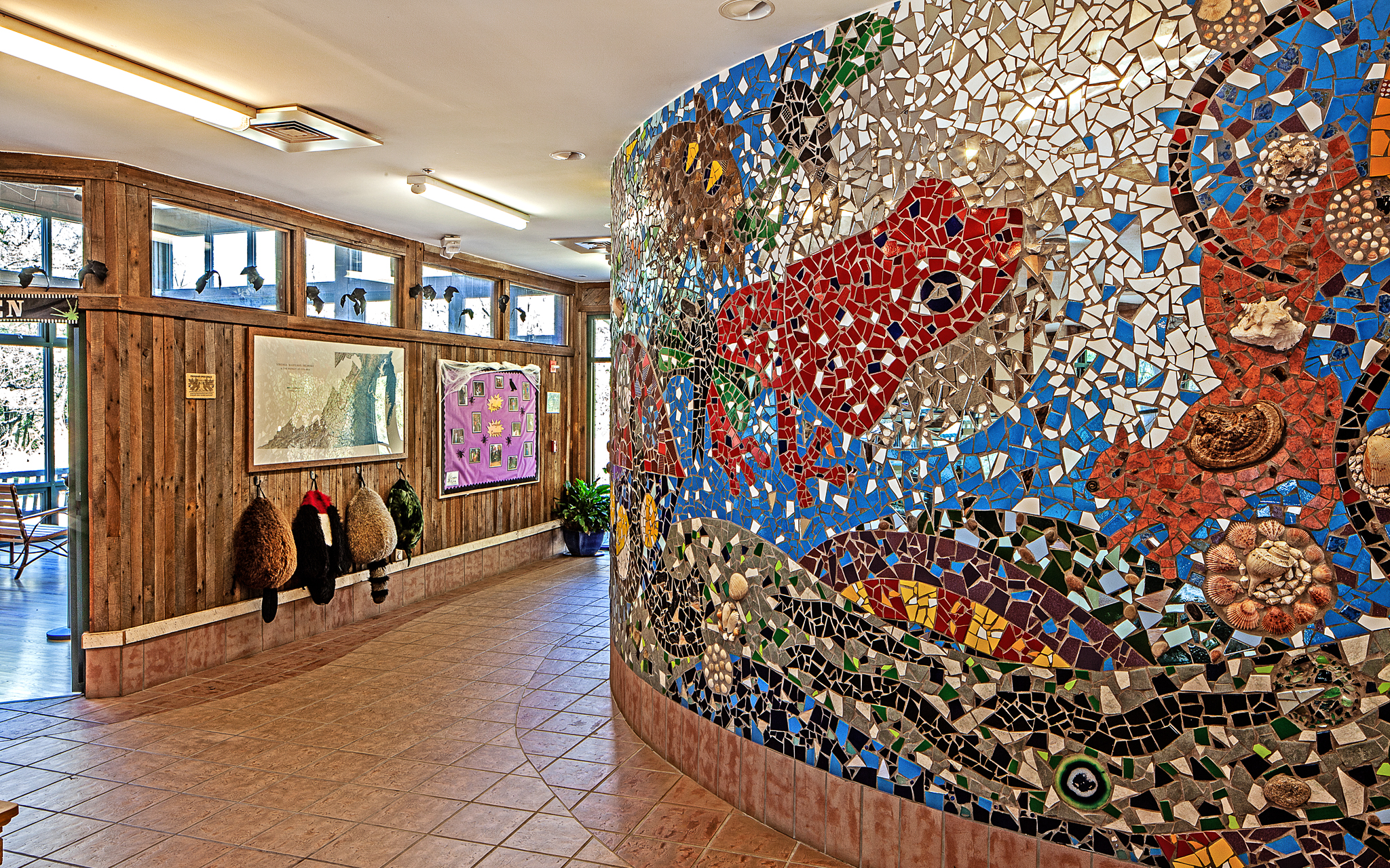 A hallway with wooden walls, bulletin boards, and a large curved mosaic mural featuring colorful animal and nature designs on a tiled surface.