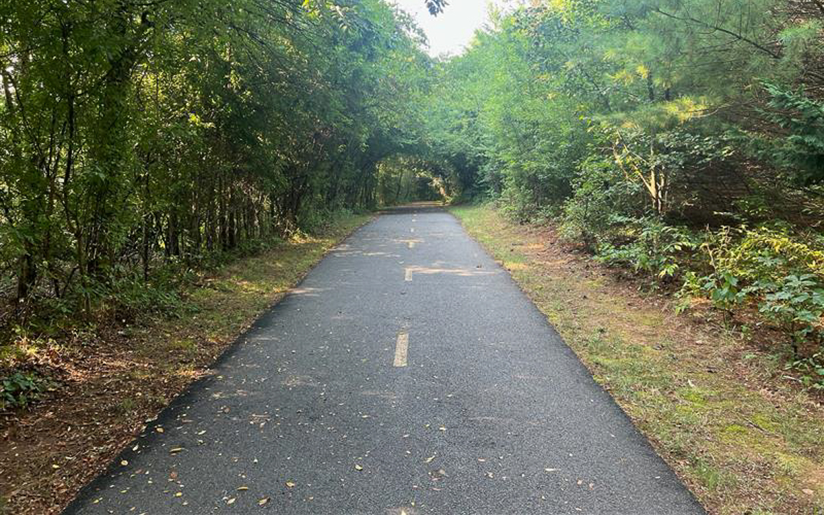 A road with trees and grass.