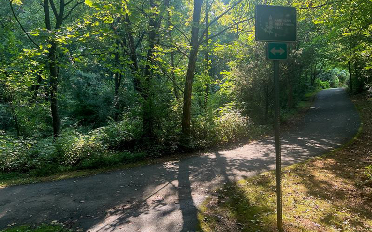 A paved path curves through a wooded area with sunlight filtering through the trees; a green park sign with a left arrow is visible by the path.