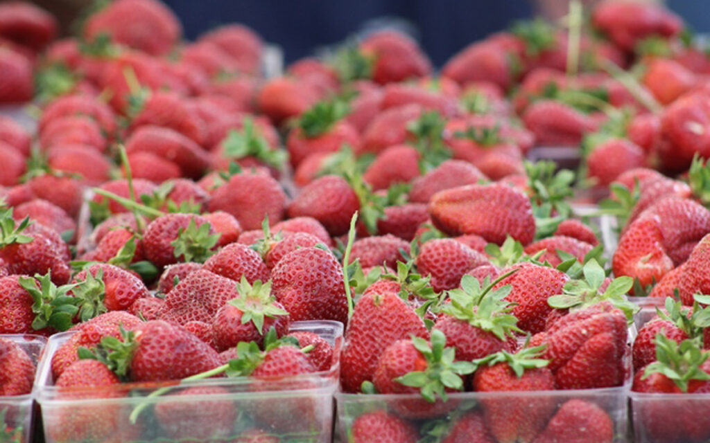 Plastic containers filled with fresh, ripe strawberries are displayed in rows, with strawberry greens visible on top of the fruit.
