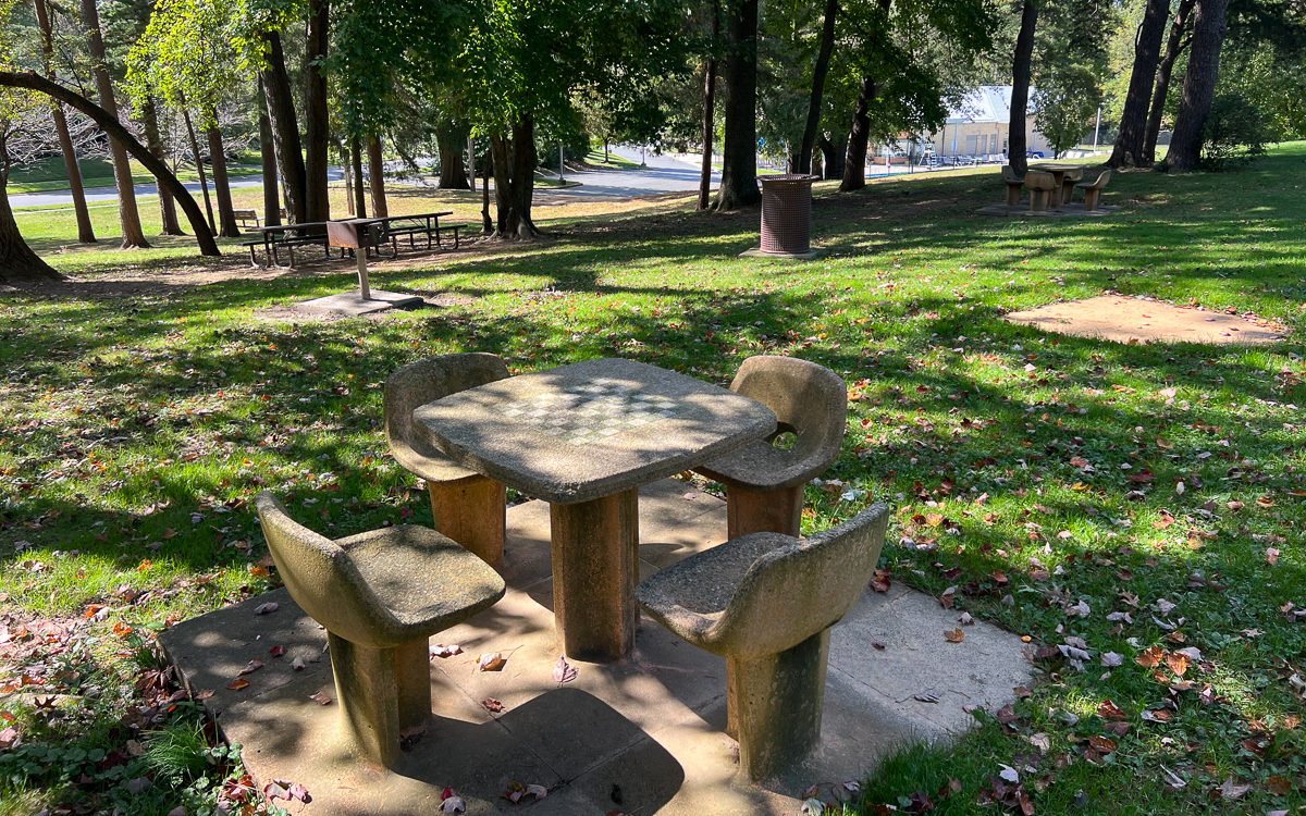 A concrete picnic table with four attached chairs on a grassy area in a park, surrounded by trees and additional tables in the background.