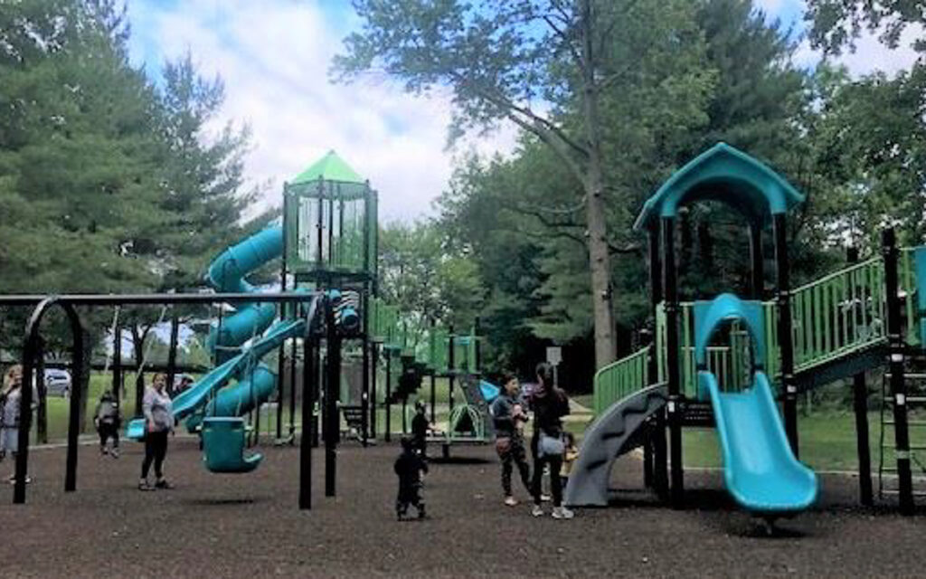 Children and adults are at a playground with blue and green slides, climbing structures, and swings, surrounded by trees on a cloudy day.