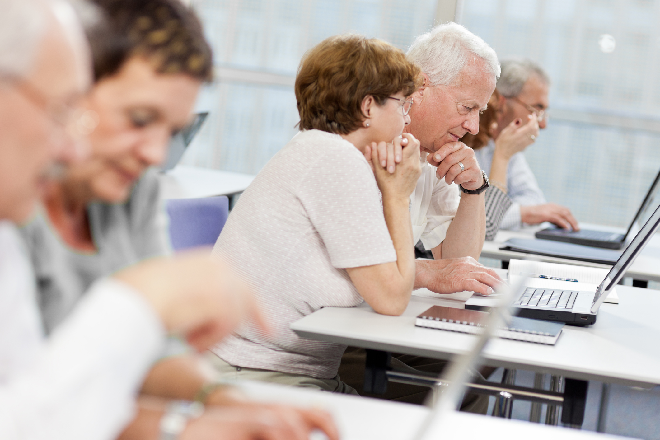 A group of older adults sitting at desks in a classroom, focused on using laptop computers.