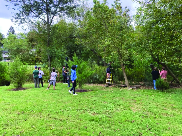 A group of people are gathered in a grassy park area with trees; one person stands on a step ladder near some bushes, while others observe or stand nearby.