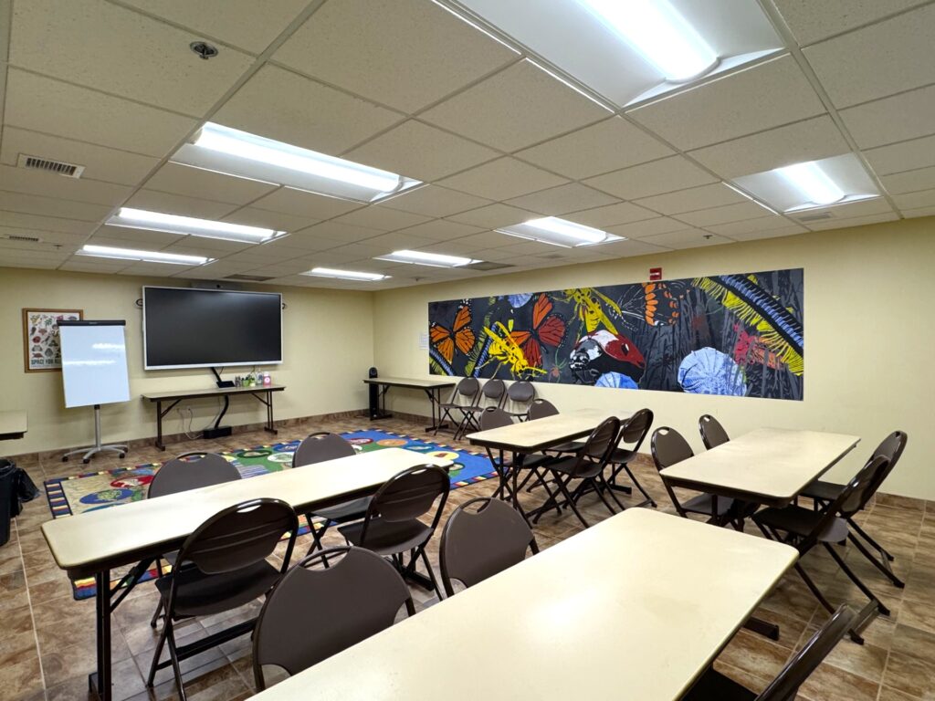 Classroom with folding tables and chairs, large mural of insects on the wall, a TV, a whiteboard, and a colorful rug in the corner.