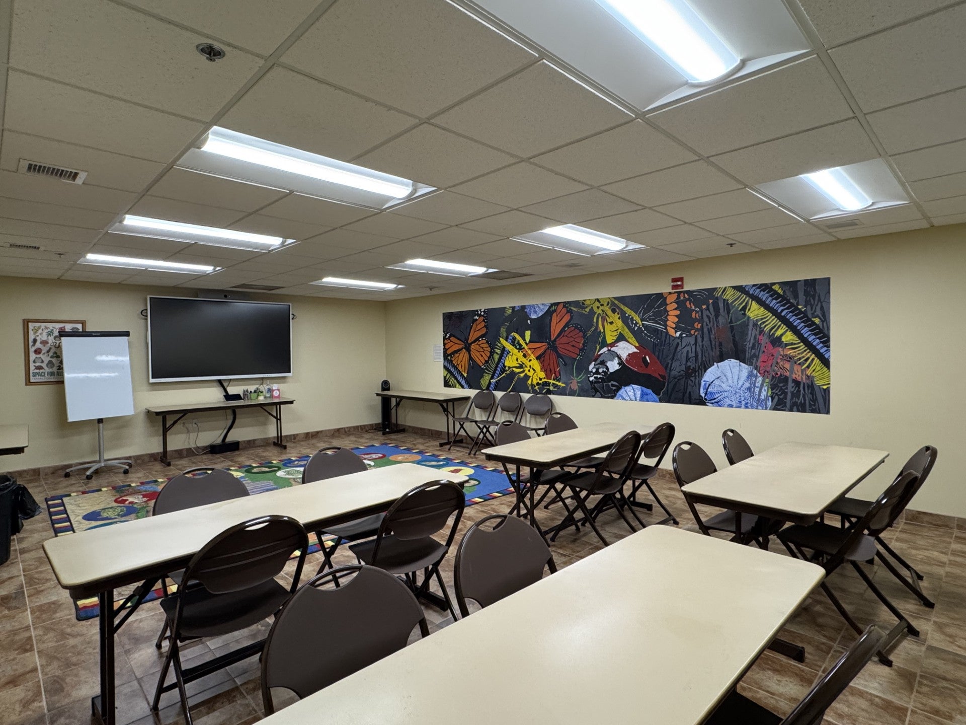 Classroom with folding tables and chairs, a mural of insects on one wall, a large display screen, a whiteboard, and a colorful rug in front of the screen.