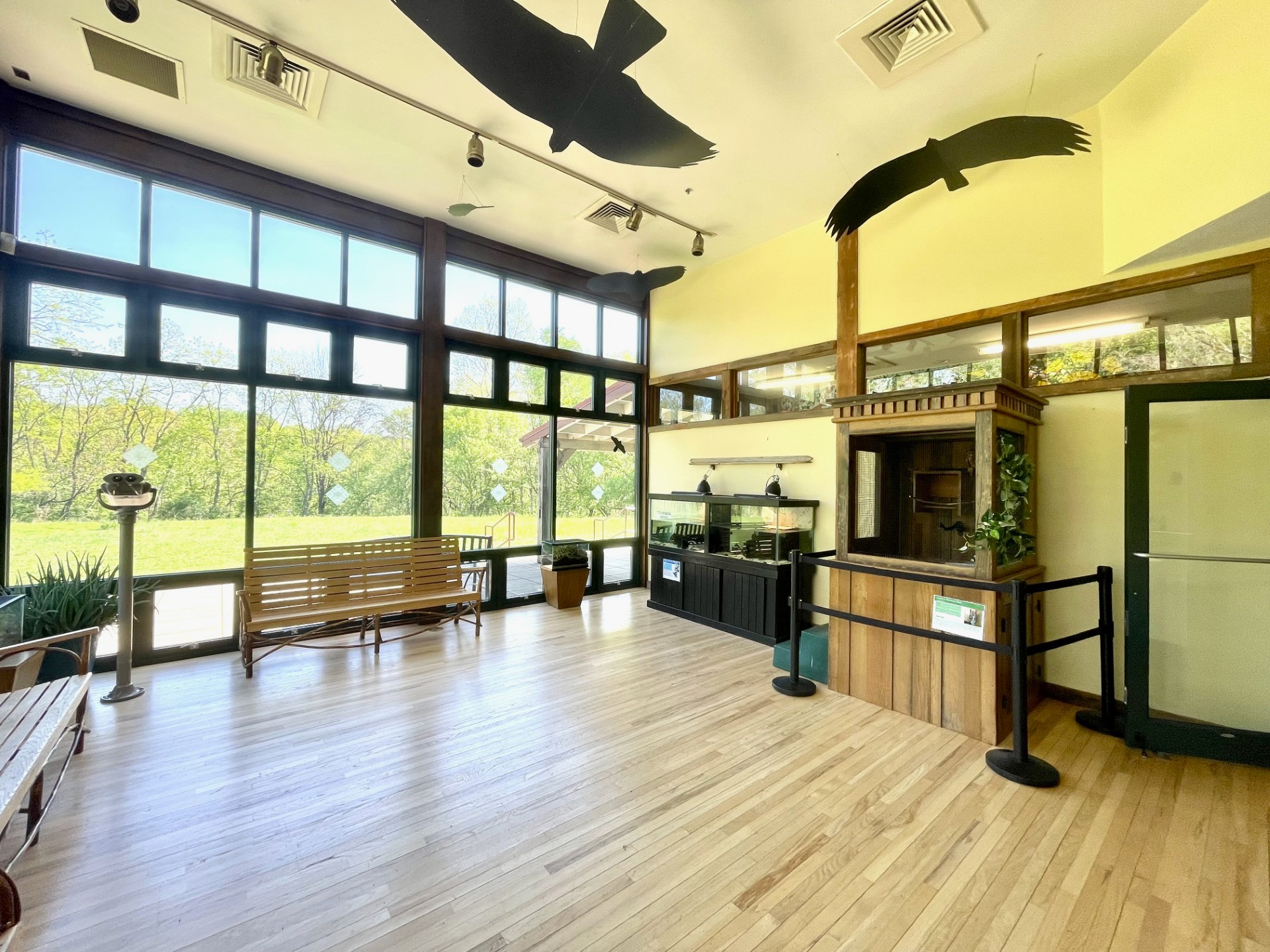 Room with large windows, wooden floor, benches, indoor plants, aquariums, display area, and black bird silhouettes hanging from the ceiling.