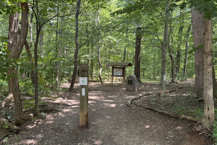 A wooded trailhead with a signpost, a map board under a shelter, and a large rock surrounded by leafy trees.