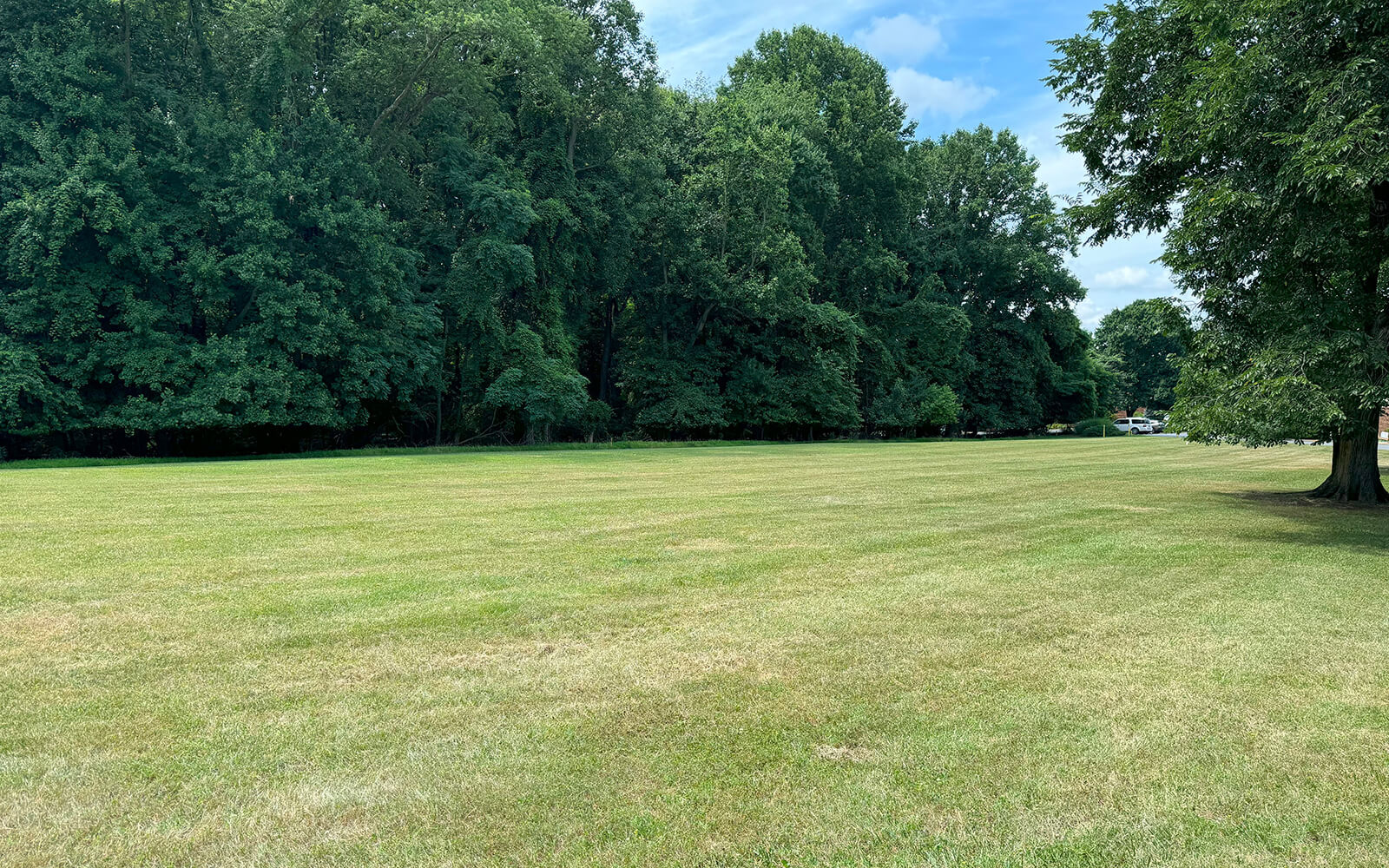 A large grassy field bordered by dense green trees under a partly cloudy sky, with a few vehicles visible in the distance.