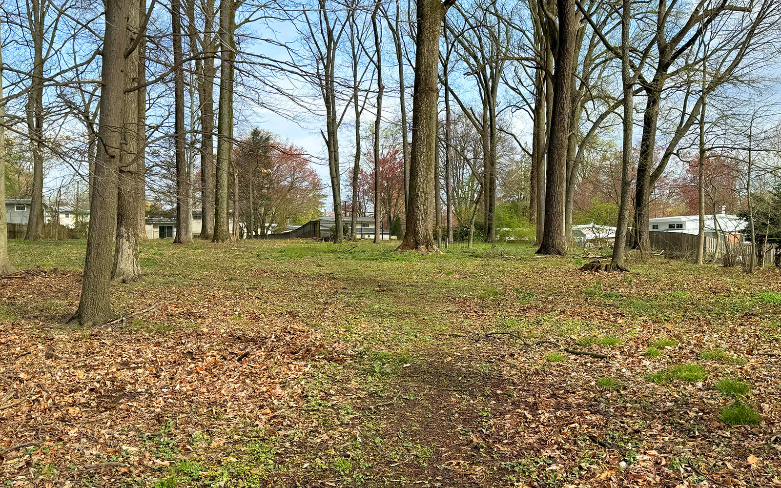 A wooded area with tall trees, scattered leaves on the ground, and several houses visible in the background under a clear sky.