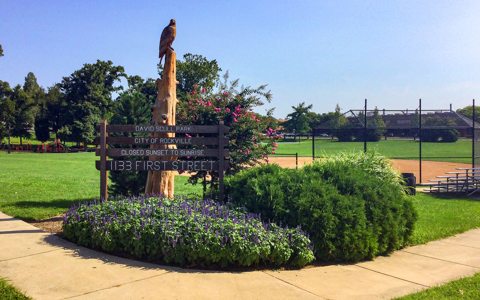 A park entrance with a sign reading "David Scull Park, City of Rockville, 1133 First Street" beside landscaped plants and a baseball field in the background.