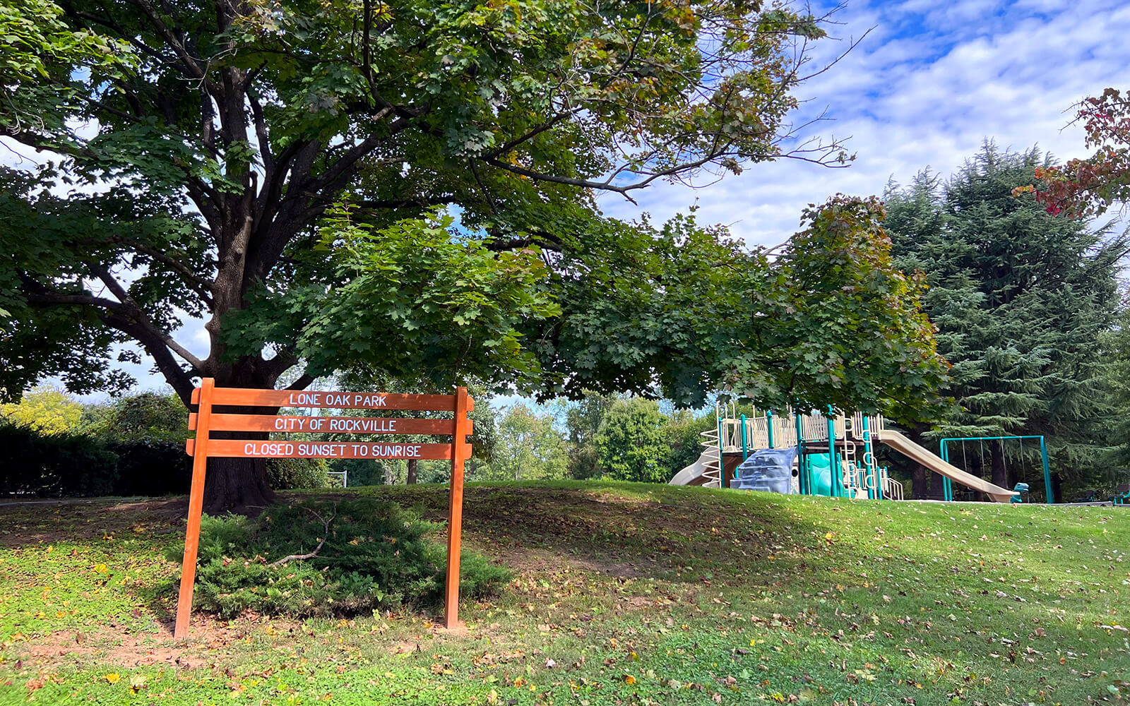 A wooden sign at Lone Oak Park stands near a large tree, with a playground structure and green grass visible under a partly cloudy sky.
