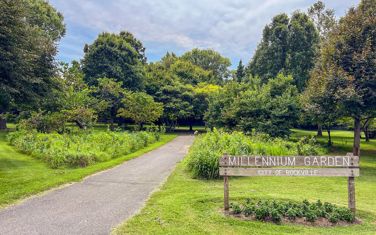 A paved path runs through Millennium Garden in Rockville, surrounded by green grass, trees, and a wooden sign in the foreground.
