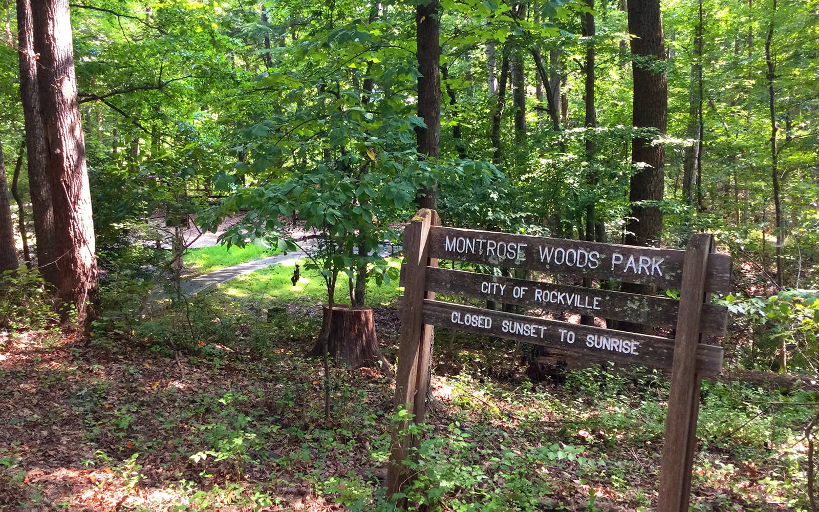Wooden sign for Montrose Woods Park, City of Rockville, stands among trees; a paved path runs through the green forested area.