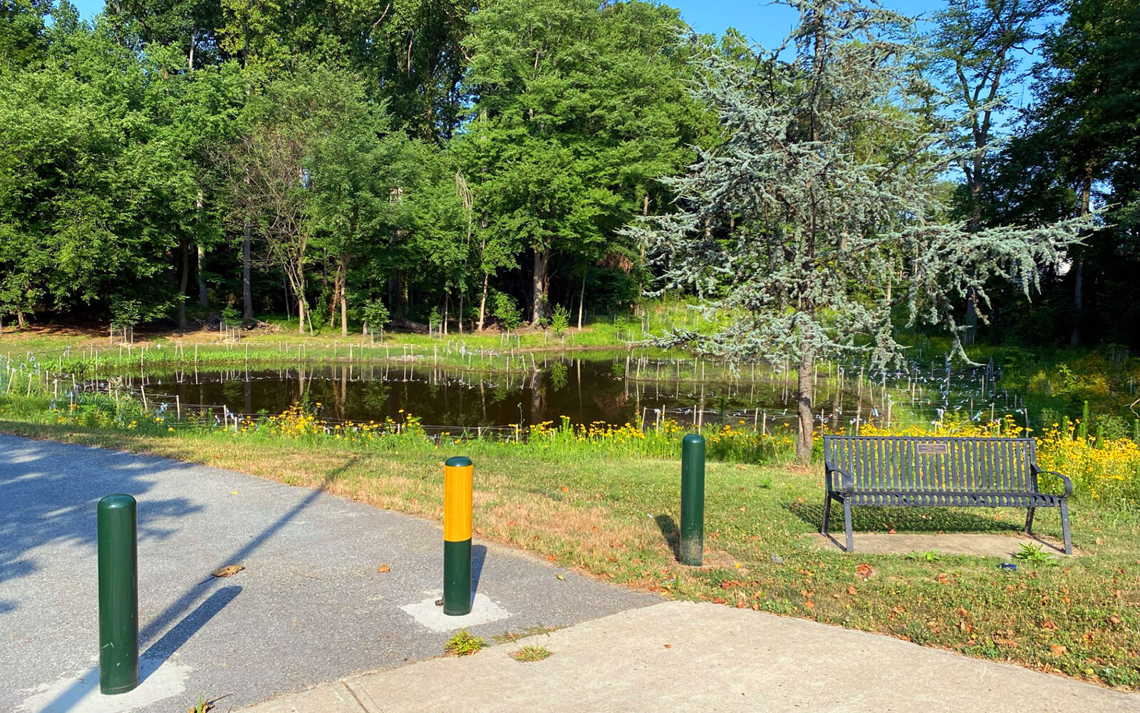 A small pond surrounded by trees and wildflowers, with a metal bench and three colored bollards by a paved path in the foreground.