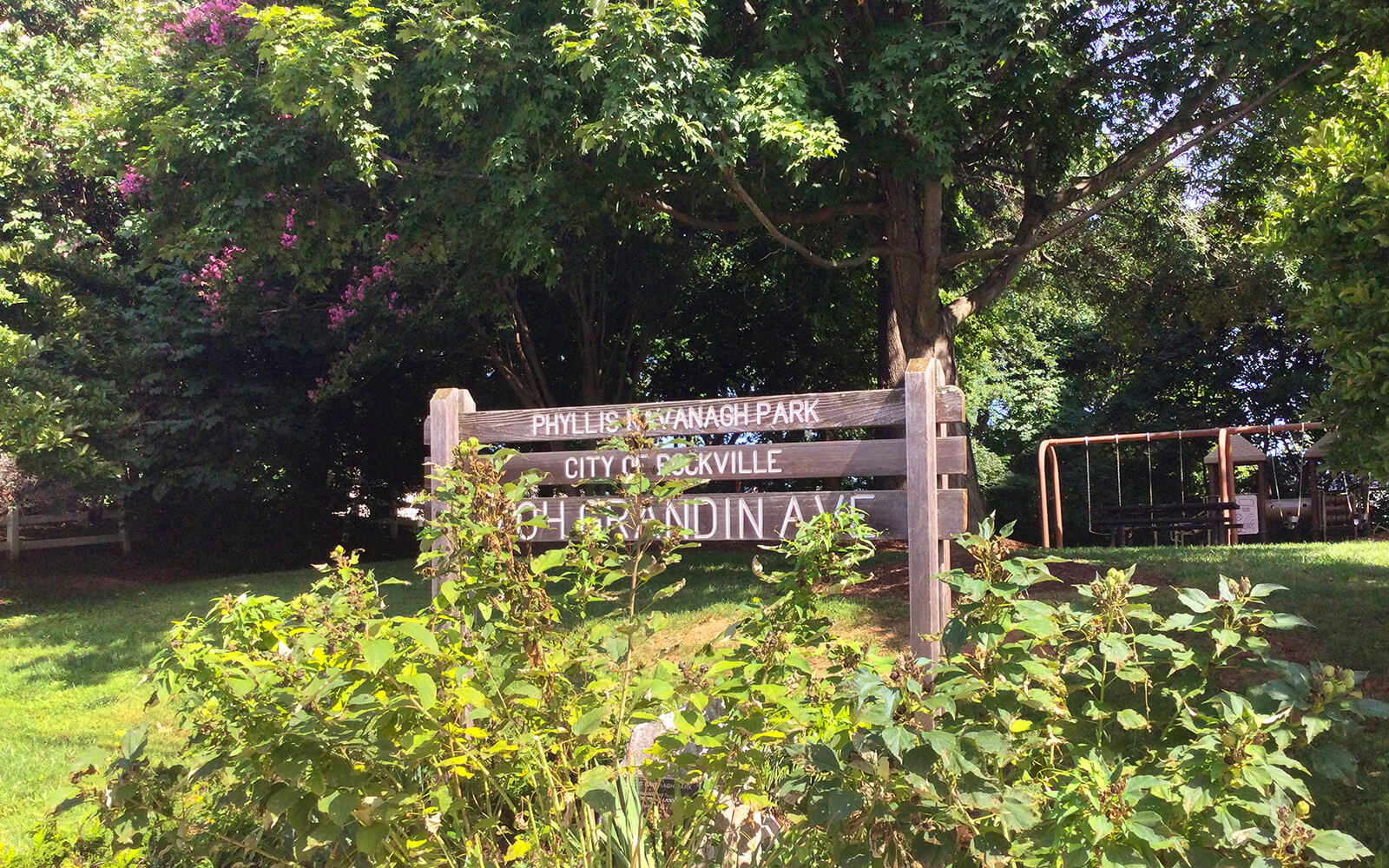 A wooden sign reading "Phyllis Kavanagh Park, City of Rockville, Grandin Ave" stands among greenery and trees, with playground equipment visible in the background.
