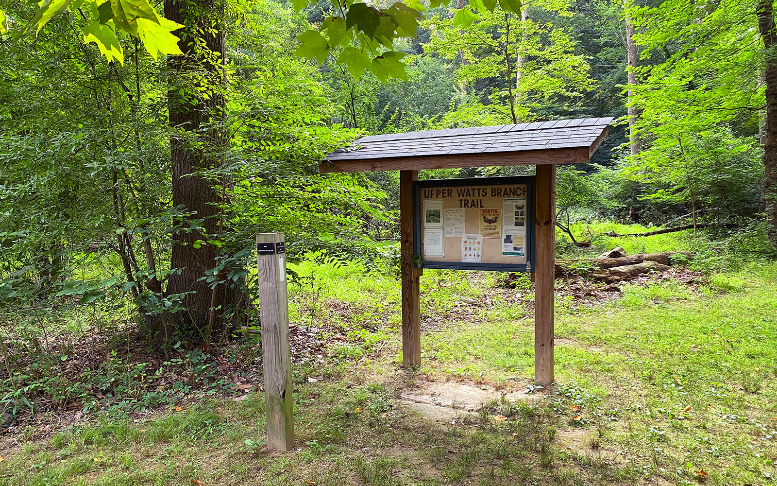 A wooden trailhead sign for Upper Watts Branch Trail stands in a forest clearing, surrounded by green trees and grass.