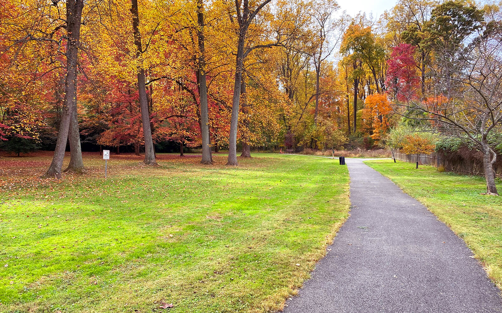 A paved walking path runs through a park with green grass and trees displaying autumn foliage in red, orange, and yellow tones.