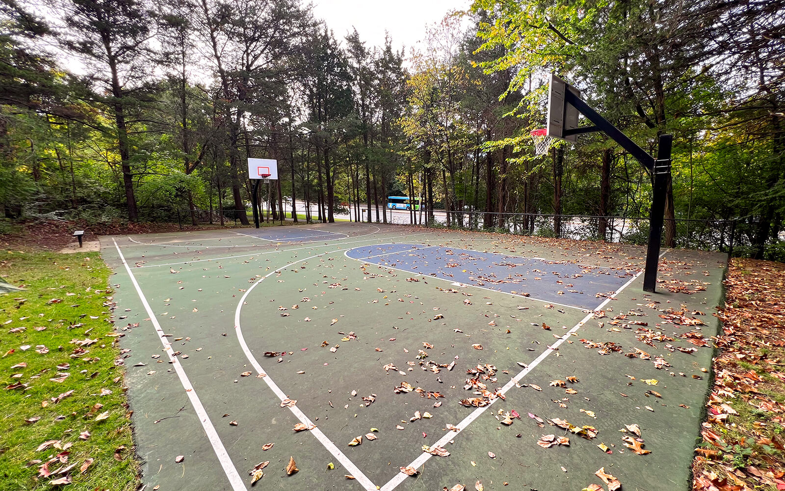Outdoor basketball court surrounded by trees, with scattered fallen leaves on the court and two basketball hoops at opposite ends.
