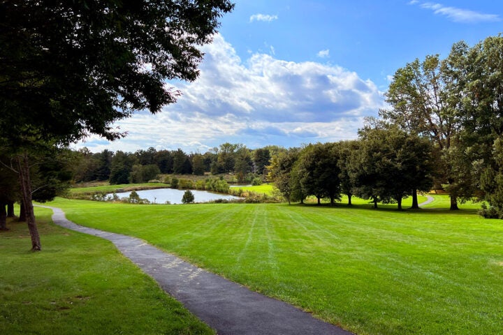 A paved path runs through a grassy park with scattered trees, leading to a small pond under a partly cloudy sky.