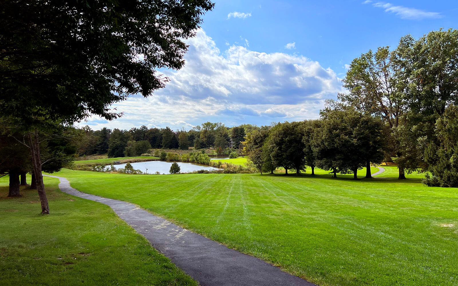 A paved path runs through a grassy park with scattered trees, leading to a small pond under a partly cloudy sky.