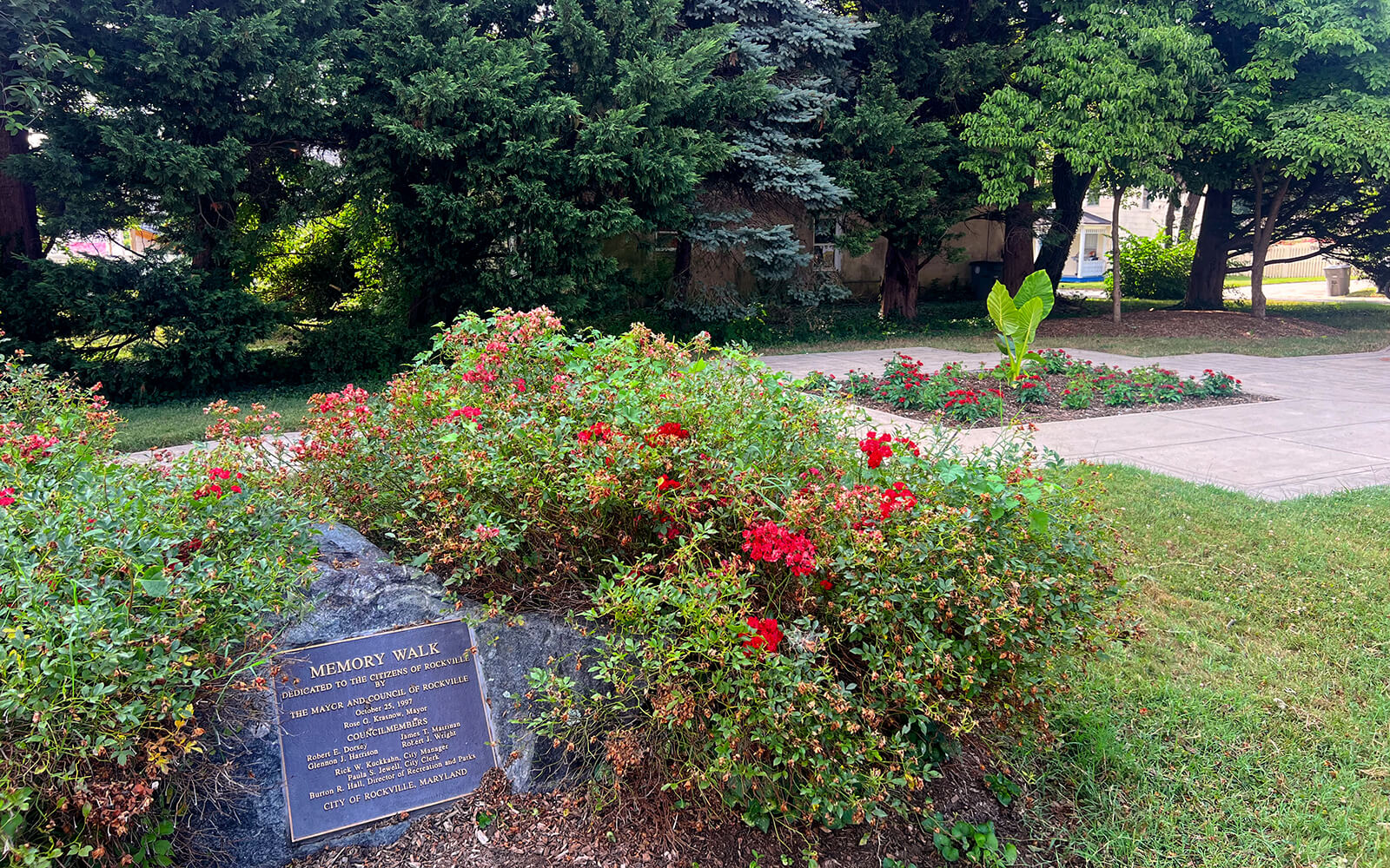 A garden with blooming red flowers and a stone marker featuring a plaque labeled "Memory Walk" next to a paved walkway, surrounded by trees and greenery.