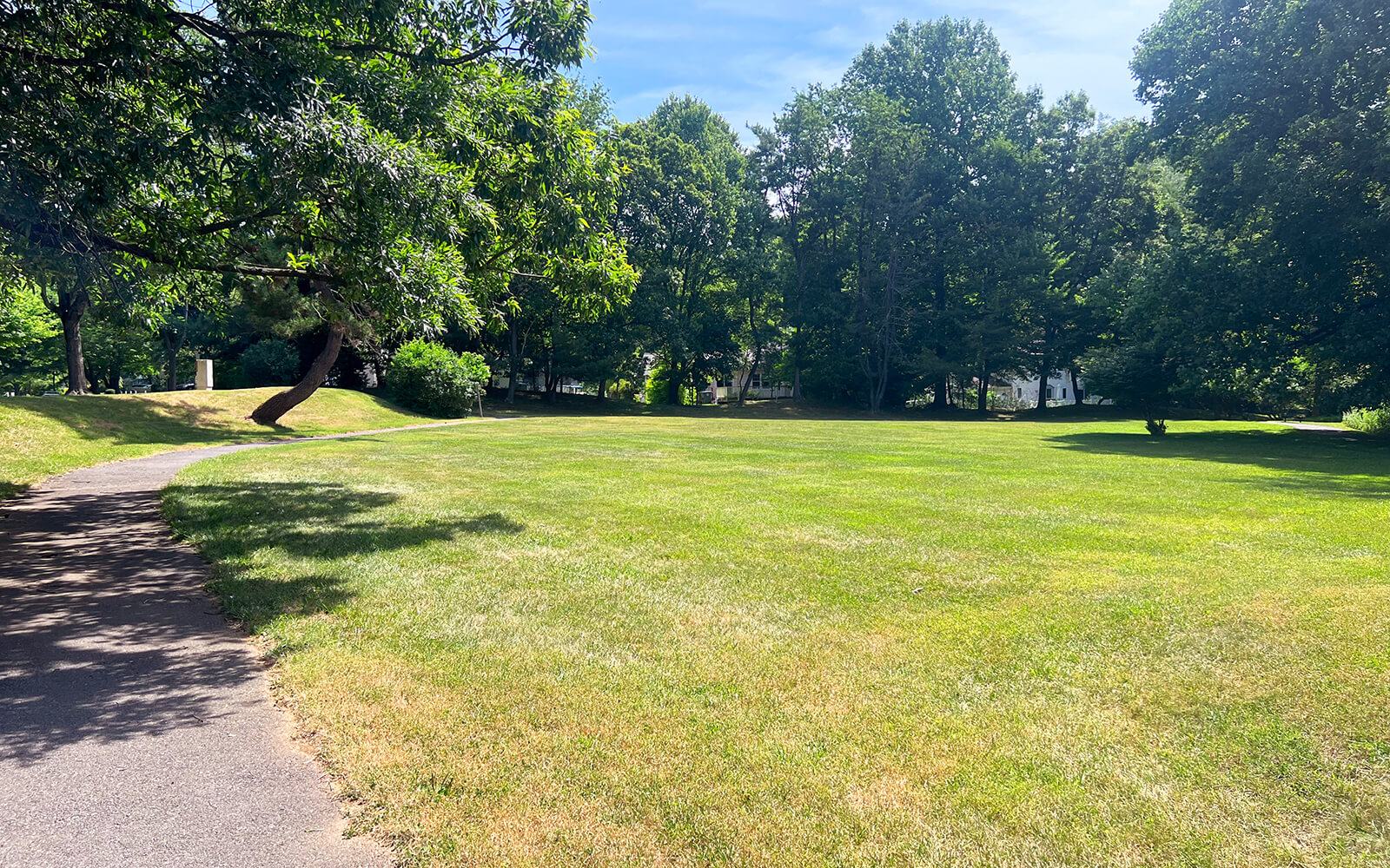 A paved path curves through a grassy park with scattered trees and dense green foliage under a clear blue sky.