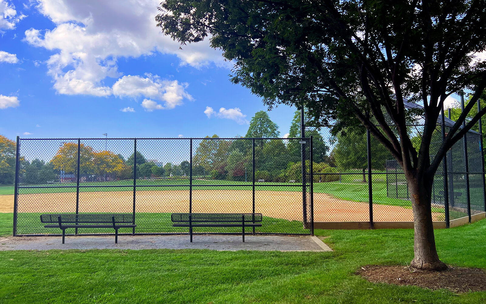 A baseball field with a dirt infield, surrounded by a black chain-link fence, benches, green grass, and trees under a partly cloudy sky.