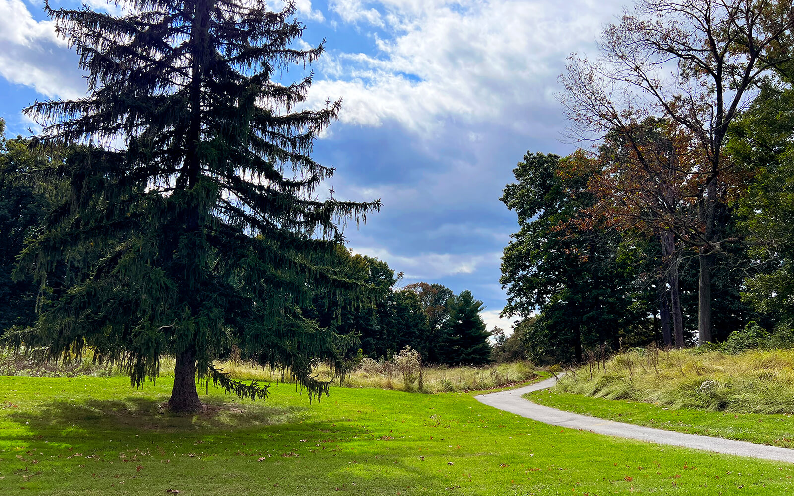 A paved path curves through a grassy park with tall trees under a partly cloudy sky.
