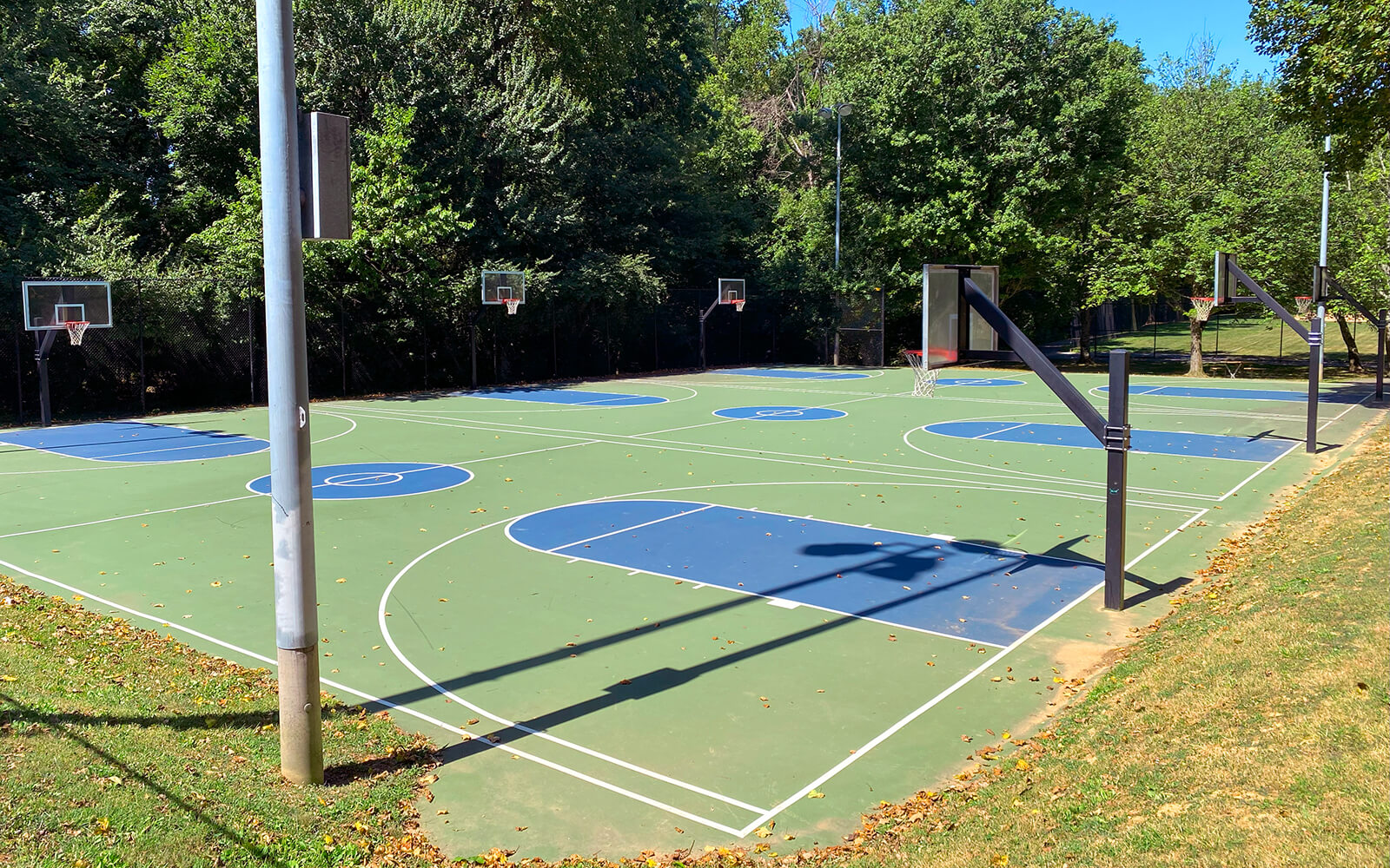 Outdoor basketball court with six hoops, surrounded by trees and grass, on a sunny day. Some fallen leaves are scattered on the court.