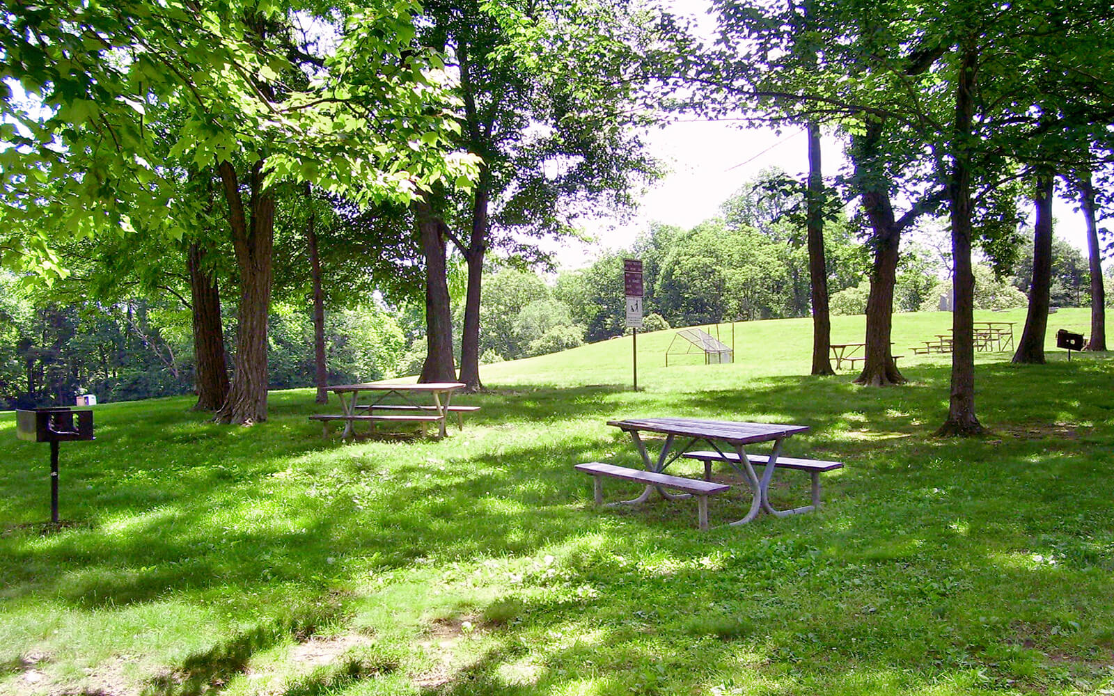 Picnic area with wooden tables, a charcoal grill, and birdhouses under leafy trees in a sunlit park with grassy hills in the background.