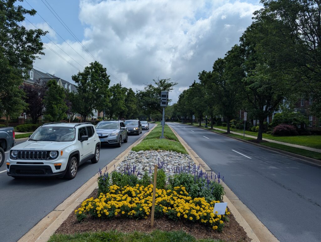 Cars wait at a traffic light on a divided street lined with trees, with a landscaped median featuring flowers and rocks in the foreground.