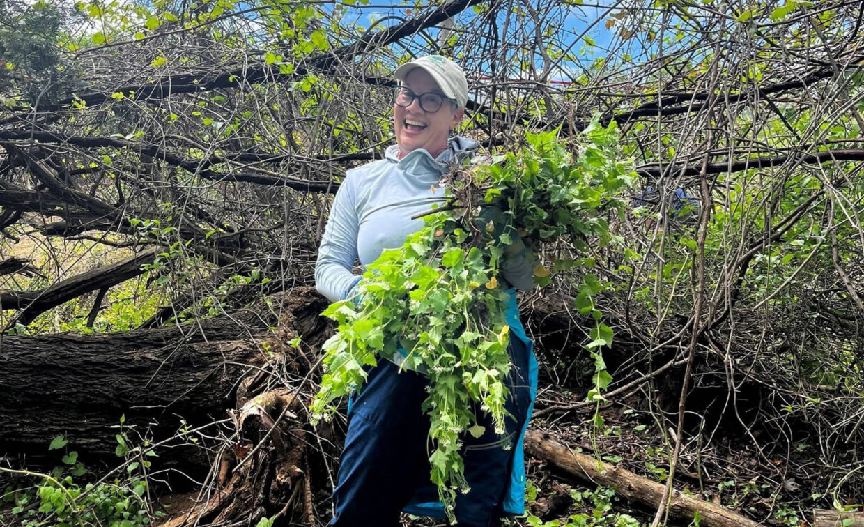 A person wearing glasses and a cap stands outdoors, smiling and holding a large bundle of green plants in front of fallen branches and trees.