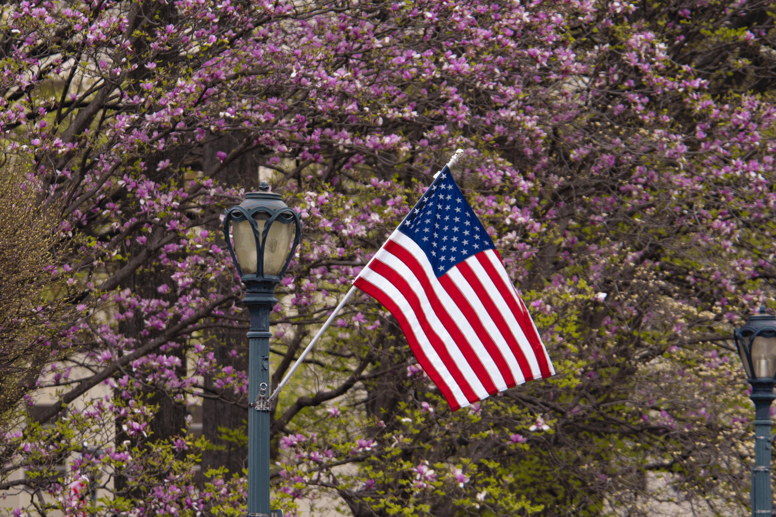 Happy Birthday, America!