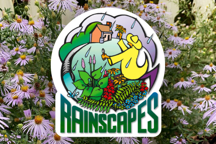 Logo for “RainScapes” showing a person in a yellow raincoat gardening near a house in the rain, with flowers and plants, over a blurred wildflower background.