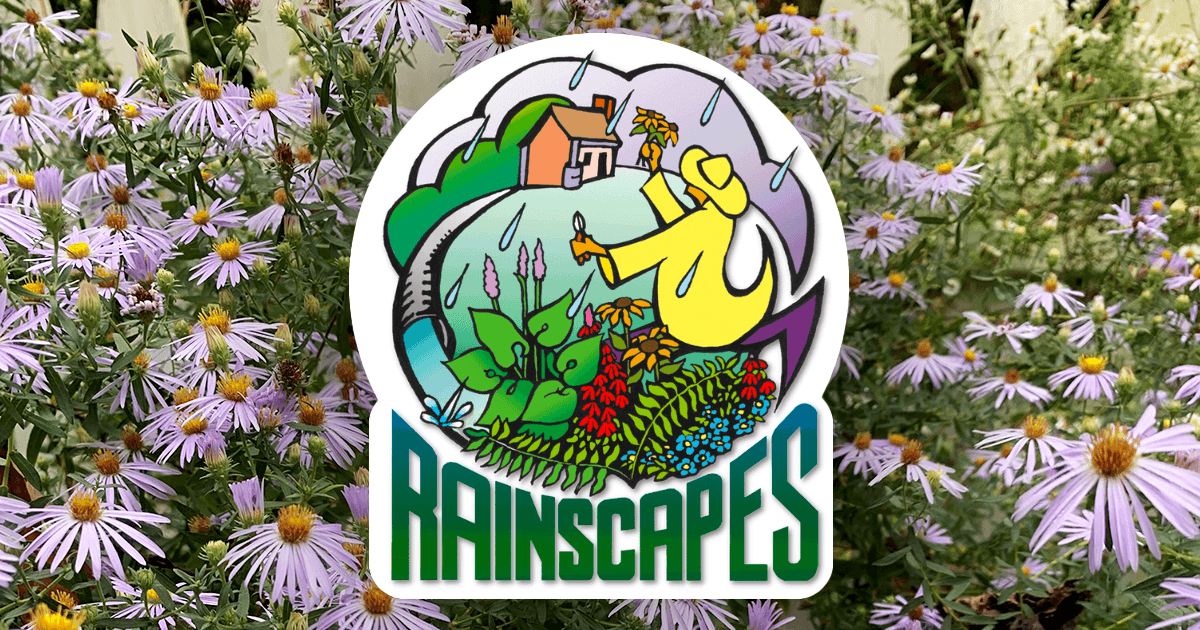 Rebates Available for Sustainable Landscaping