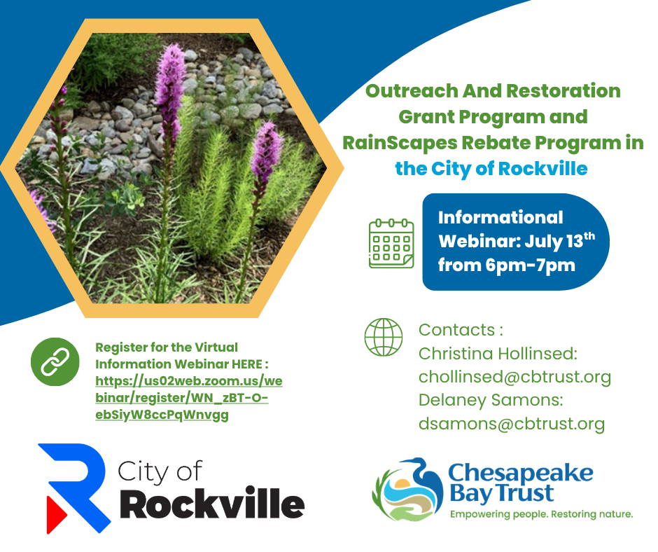 Informational flyer for City of Rockville’s grant and rebate program webinar on July 13th, 6–7pm, with registration link and contact emails; logos and purple flowers included.