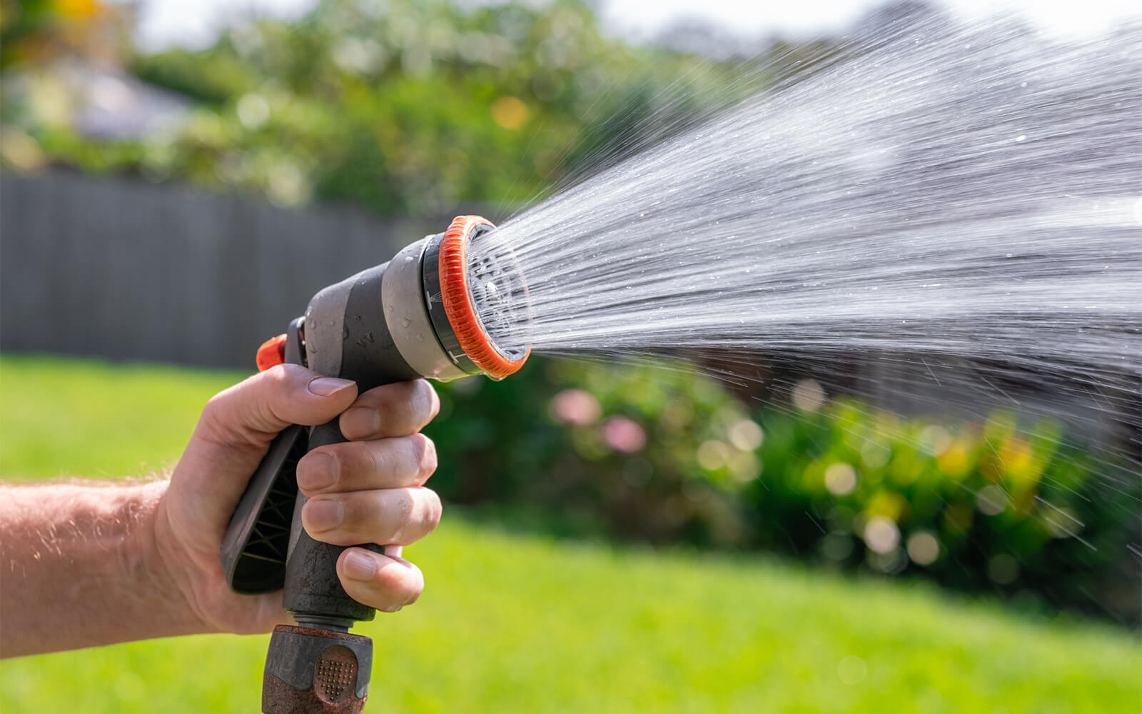 Regional Drought Watch Issued