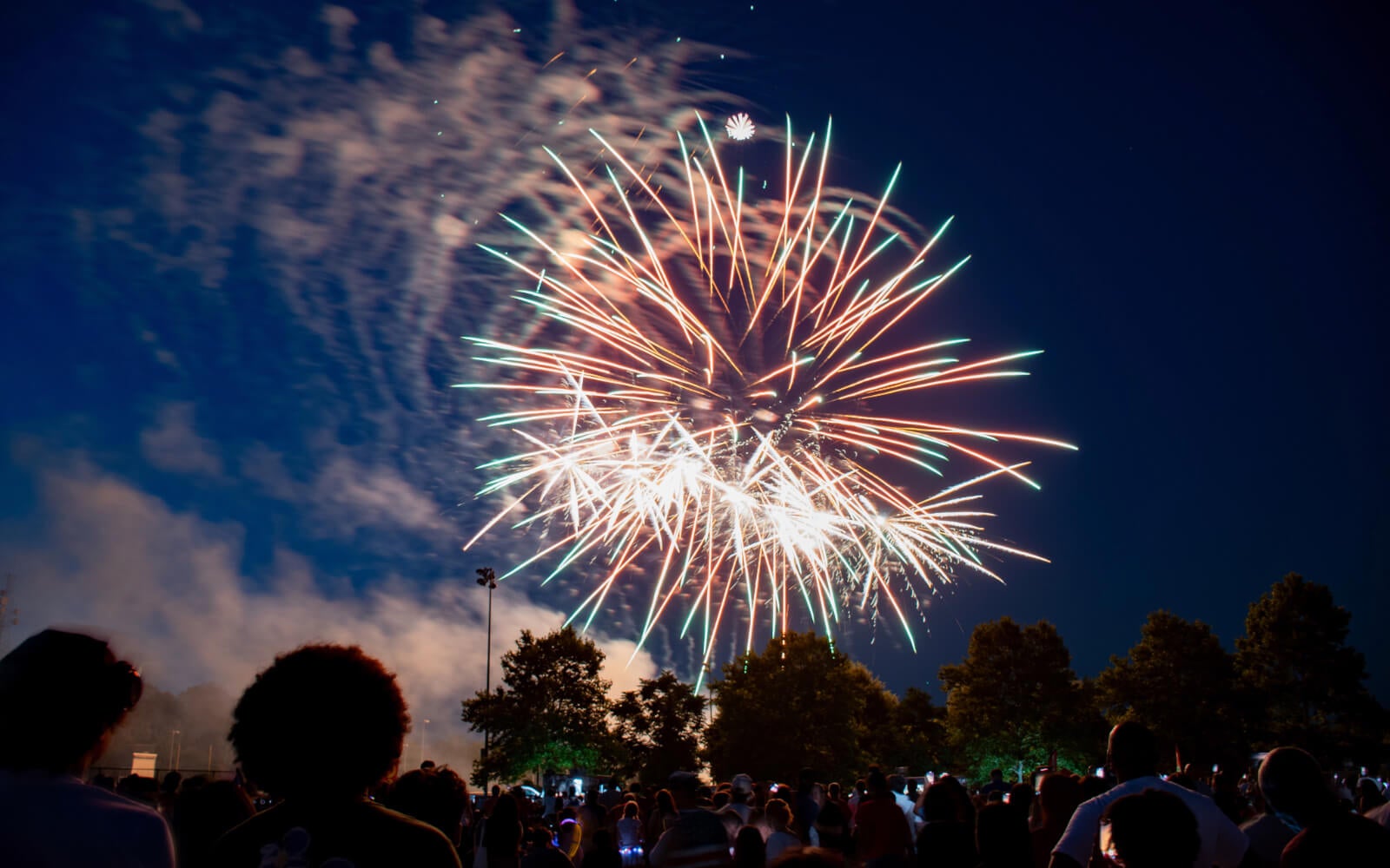 A crowd watches colorful fireworks light up the night sky above trees during Independence Day.