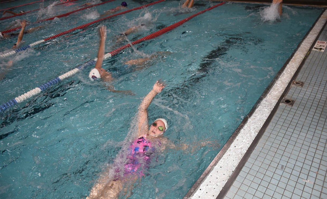 Several swimmers practice backstroke in an indoor pool, each in separate lanes, with water splashing around them.
