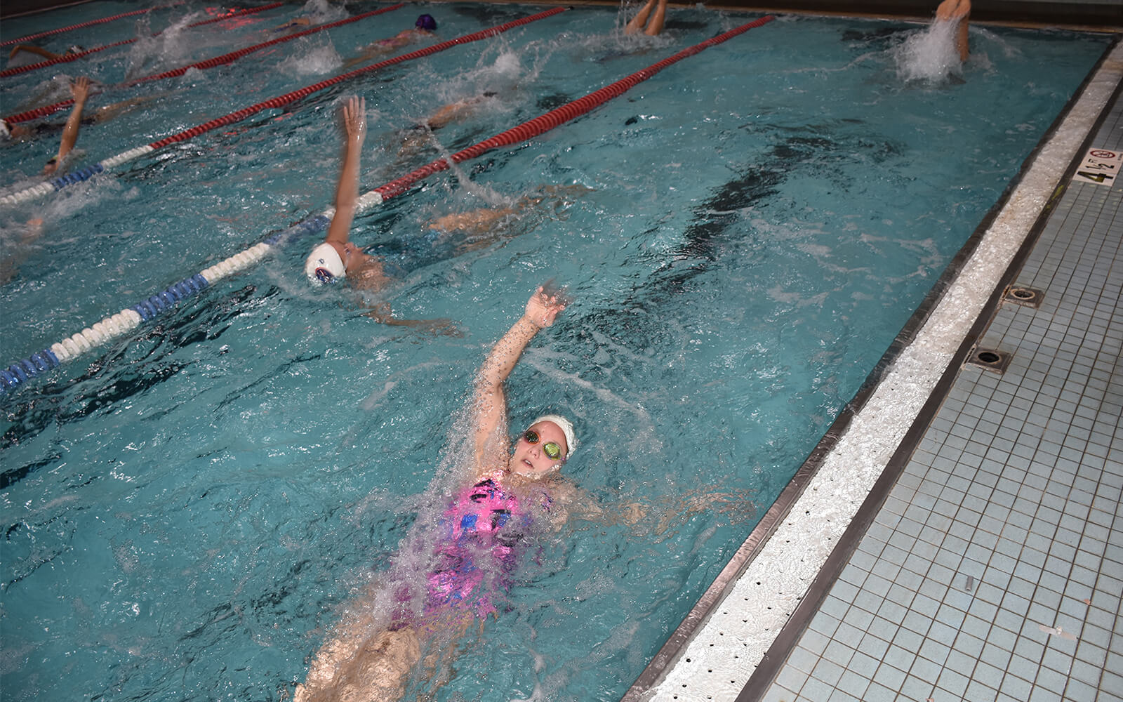 Several swimmers practice backstroke in an indoor pool, each in separate lanes, with water splashing around them.