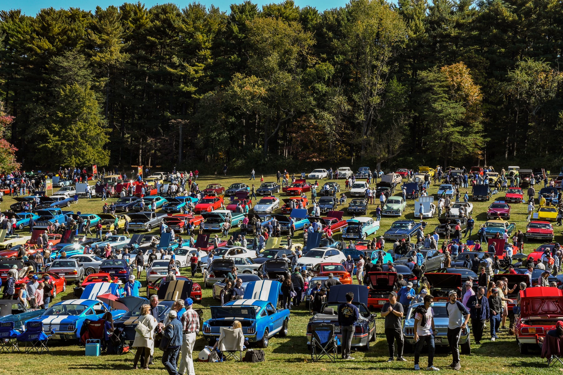 Pedal to the Metal This Month for Rockville’s Car Show