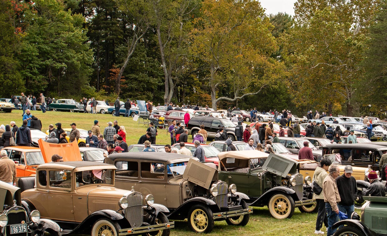 Crowd of people looking at antique cars parked on a grassy field.