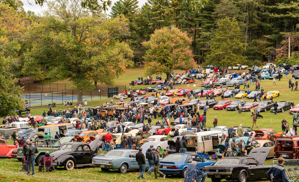 A large gathering of vintage cars parked on a grassy field in a park, with many attendees walking among the vehicles.