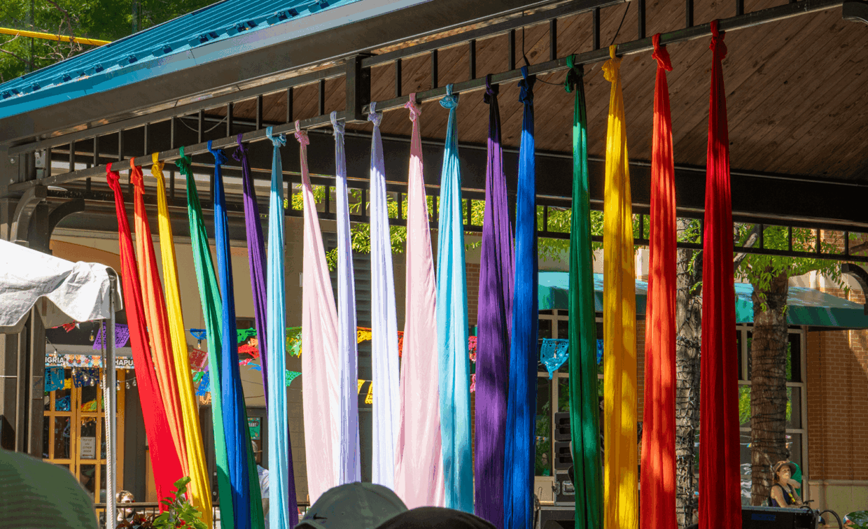 A row of colorful aerial silks hanging from an outdoor pavilion ceiling.