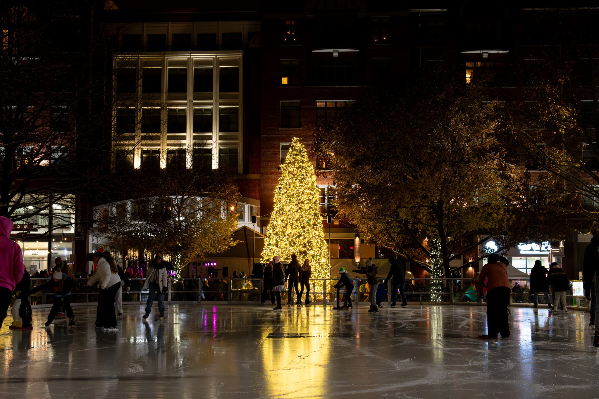 People ice skating on an outdoor rink in front of a large, illuminated Christmas tree at night.